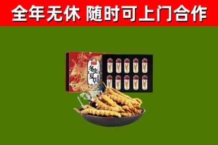 盐湖区回收冬虫夏草价格